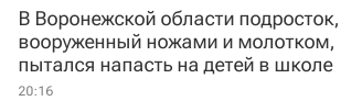 В Воронежской области подросток пытался совершить преступление в школе
