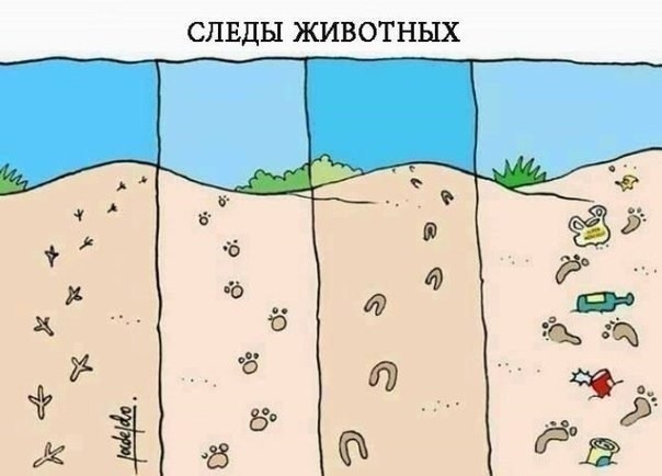 Воскресные картинки