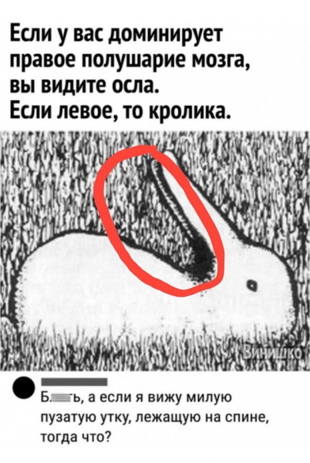 Пятничные картинки