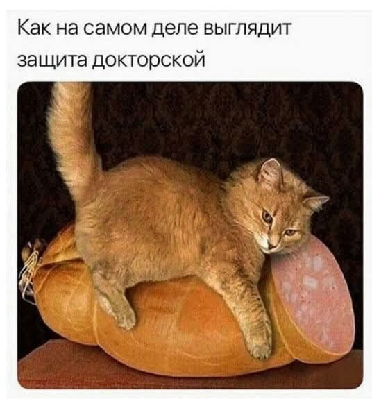 Игра слов в картинках 20.12.25