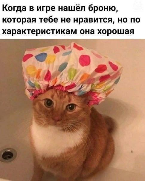 Картинки для деградации 117 (разной степени свежести)