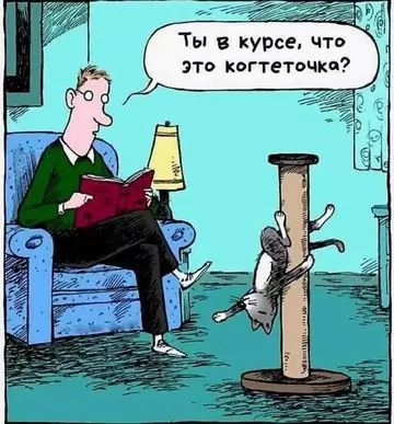 Картиночки, баянчики 12 марта