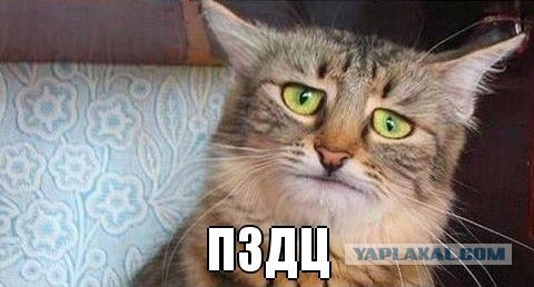 Гламур,он такой понимаешь гламур