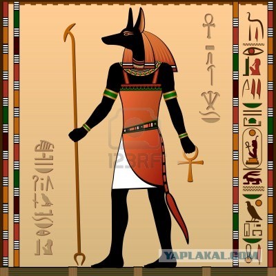 Юмор на сообразительность