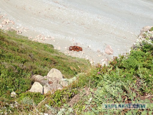 Природа Приморского края