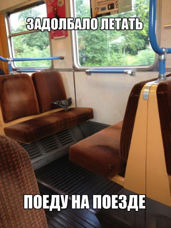 Веселые картинки