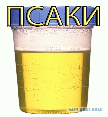 Псаки вильнула хвостом, как обычно, впрочем