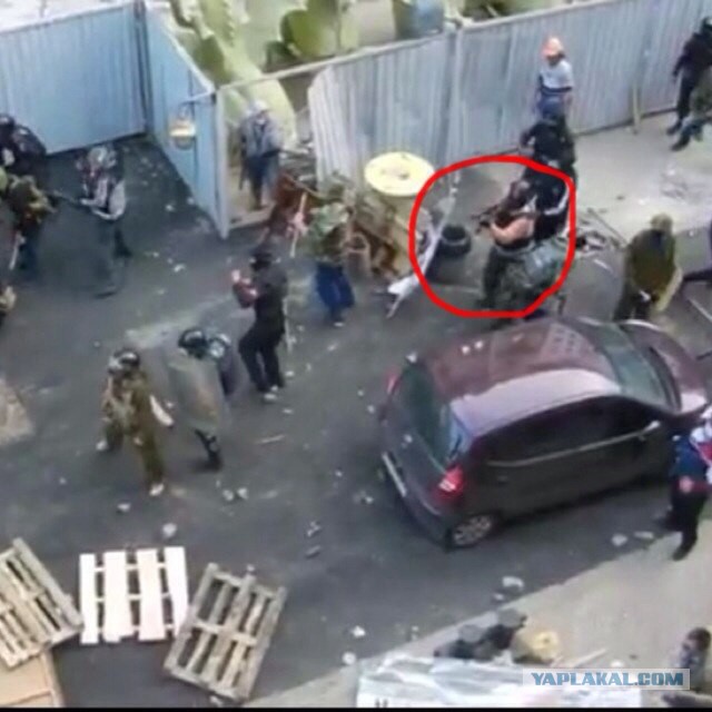 Поиск подонков