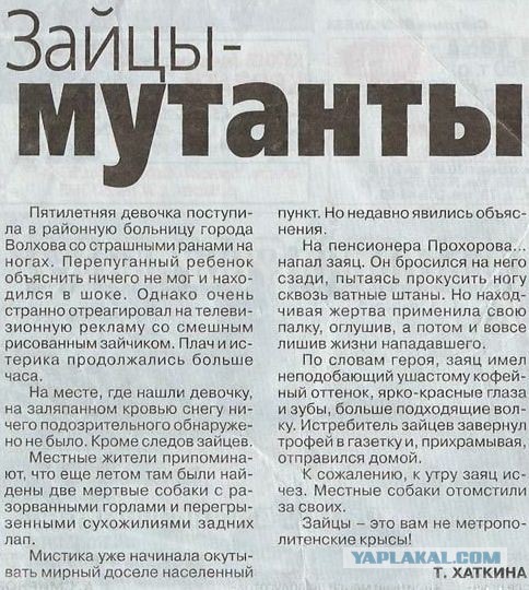 За#$ись отдохнули