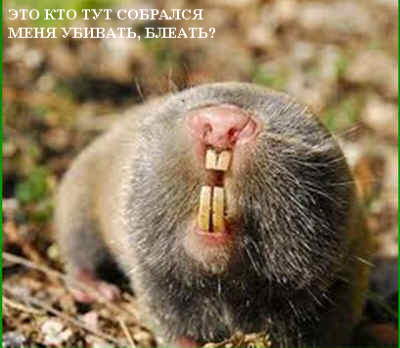 Кому юки отсыпать?