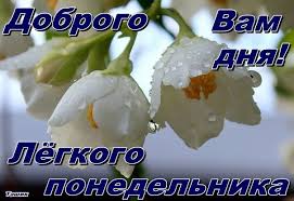 Добряки, плюсующие всех подряд