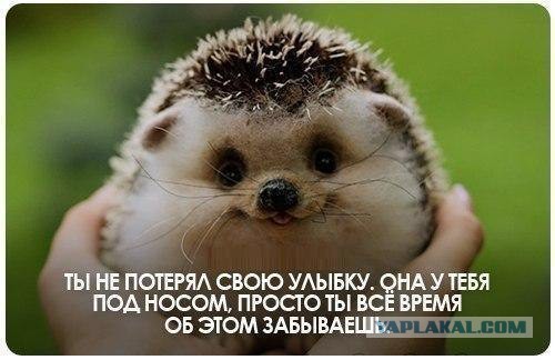 Чёрт, чёрт, чёрт!