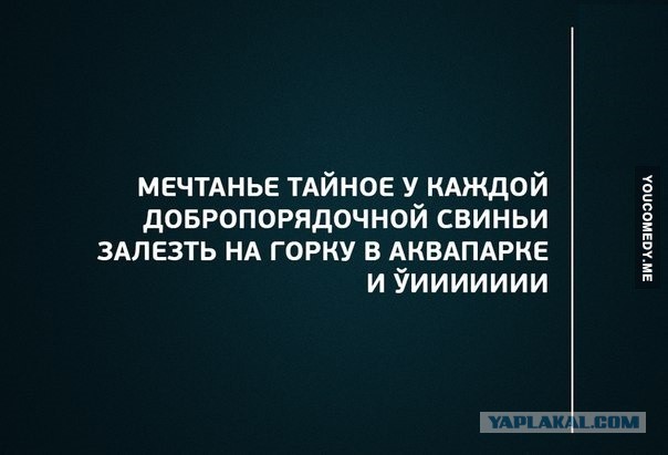 Прикольные пикчи