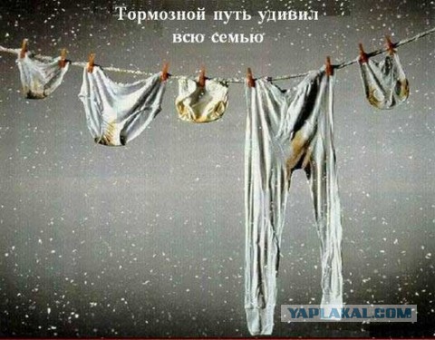 Свежие картинки из сети