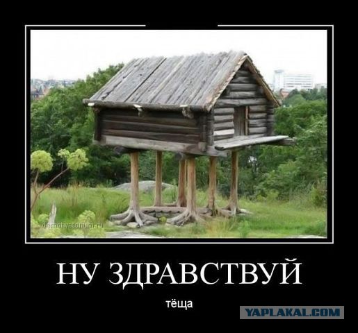 Веселые картинки