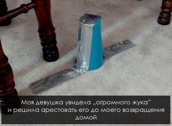 Забавные картинки из интернетов