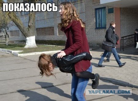 Приколы из сети