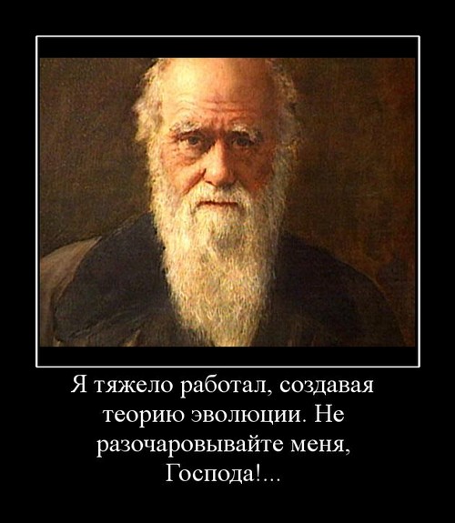 Подорвались на брошенной в костер мине