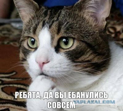 Минутка расизма