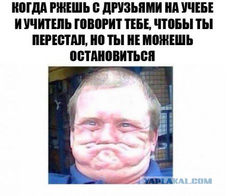 Картинки смешные и несмешные