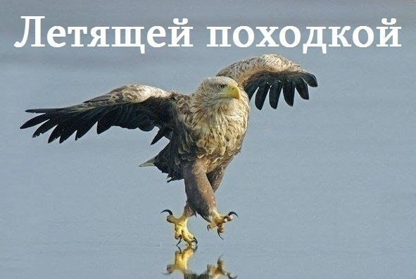 Картинки и демотиваторы
