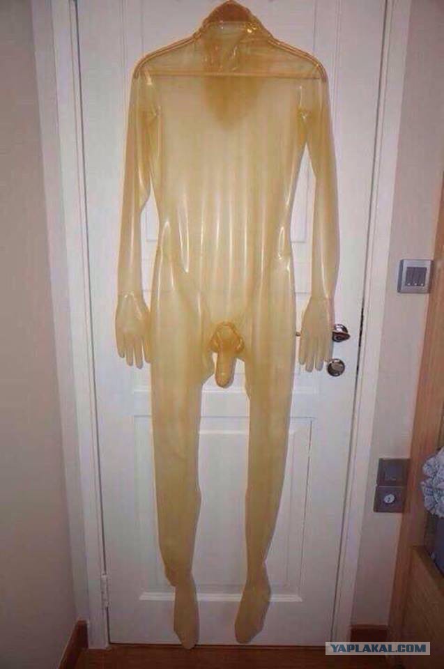 Сбежали в Украину, сердешные..