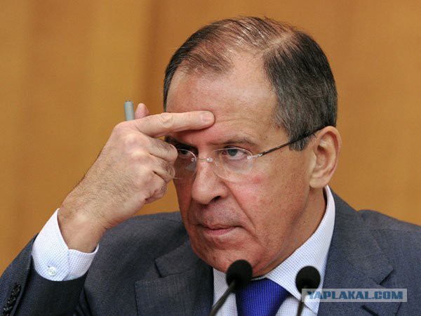 30 тонн польских грибов - всмятку!