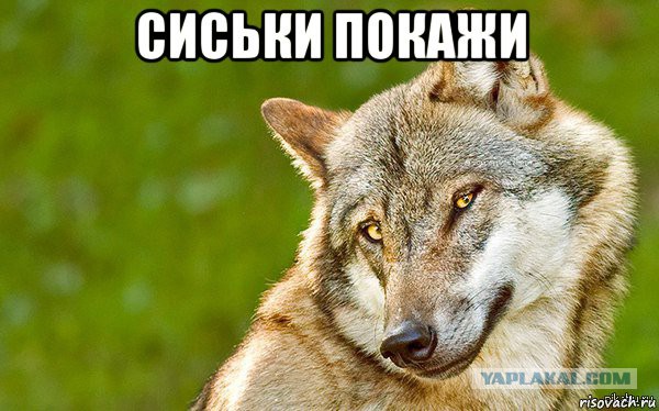 Я оказалась не модной...