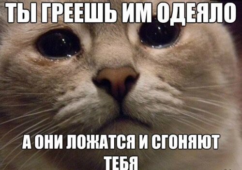 Подборка Картинок из сети