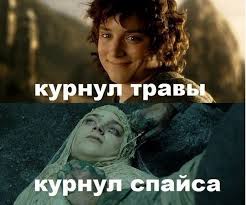 Решила ночью срезать путь через скверик