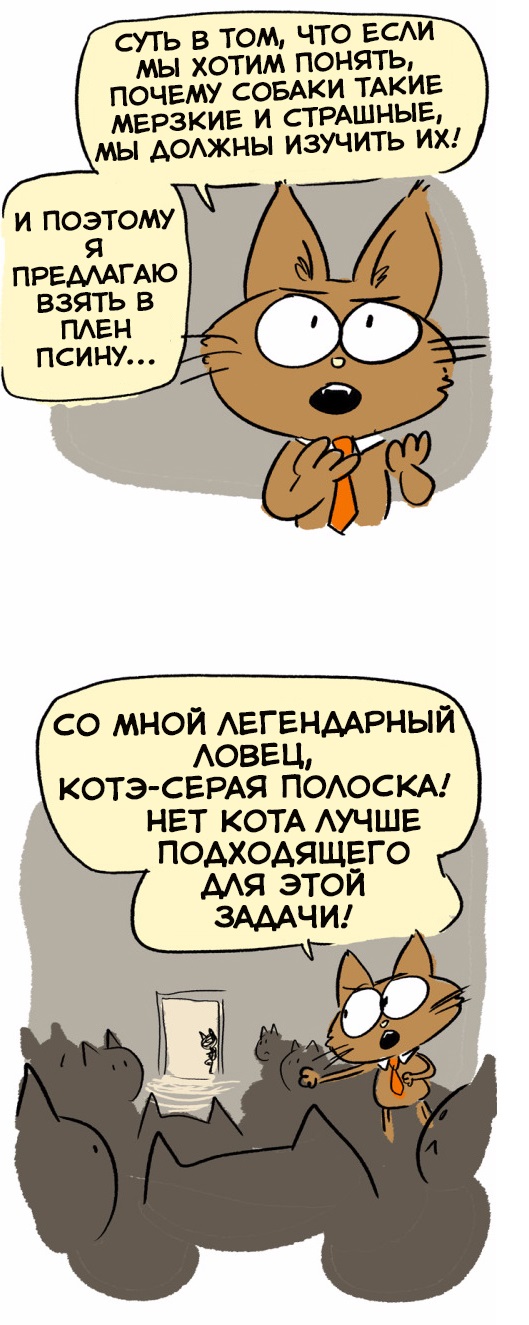 Котогерой. Отважная миссия