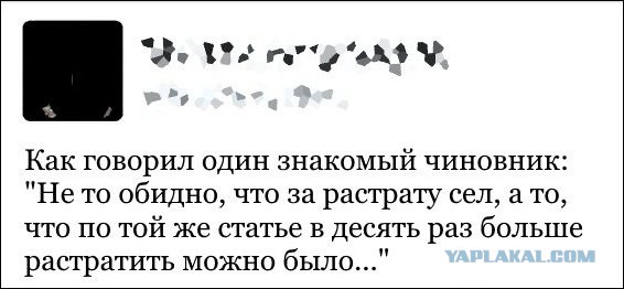 Смешные комментарии из социальных сетей 29.07.2016