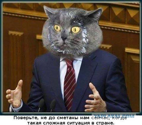 Это видео покорило весь интернет