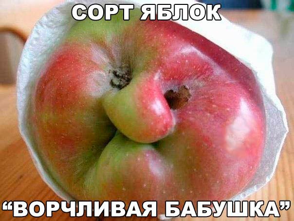 Ура! Деградируем в эти выходные!