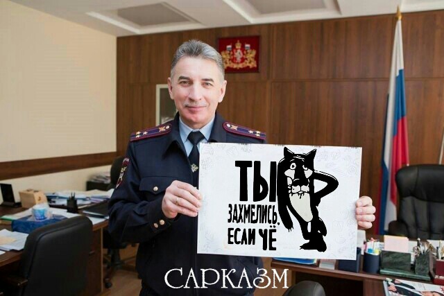 Полицию возмутили фотожабы на главного гаишника Юрия Дёмина