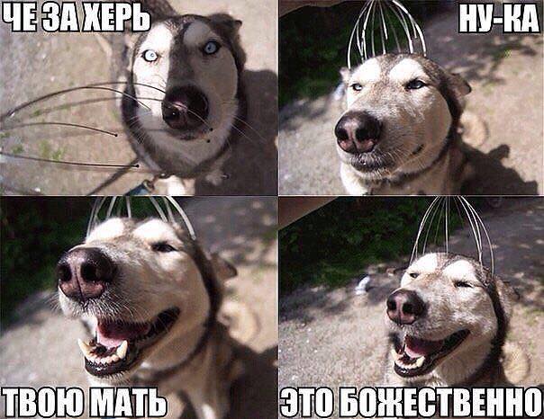 А сегодня Вы деградировали?