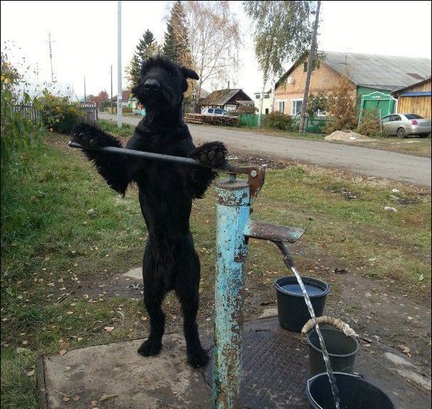 Картинки разные