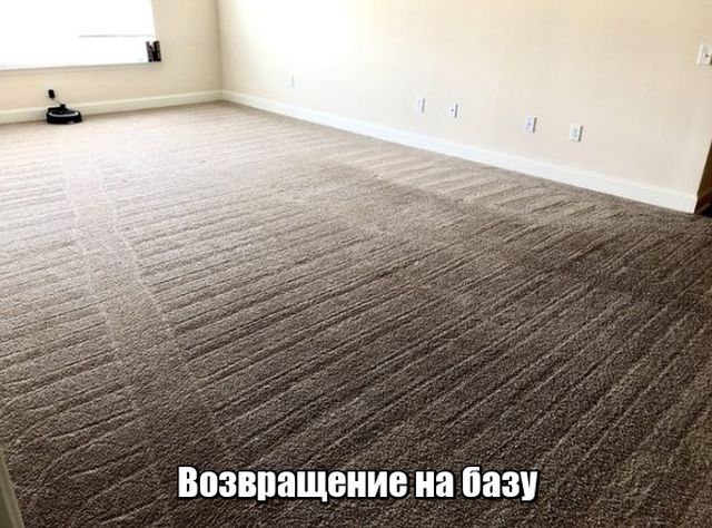 Подборка интересных и веселых картинок