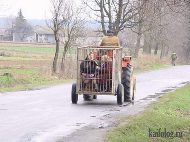Самые безумные способы перевозки