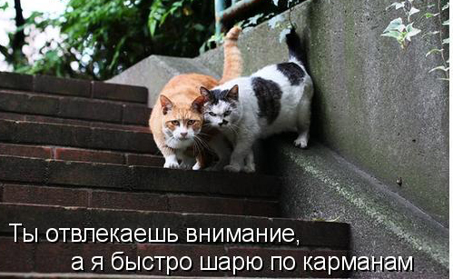 И это показывают по телевизору