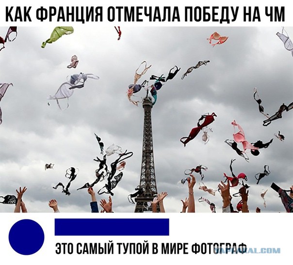 Кто на картинке самый глупый