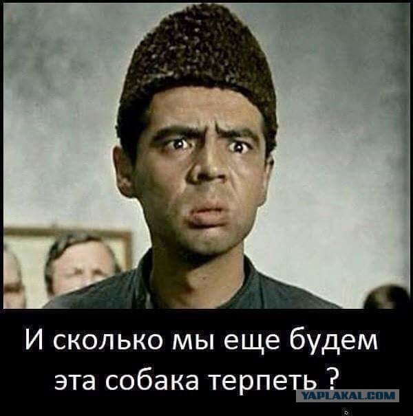 Мужчина, положивший болт на Конституцию у здания Госсовета РТ, встретит Новый год в спецприемнике