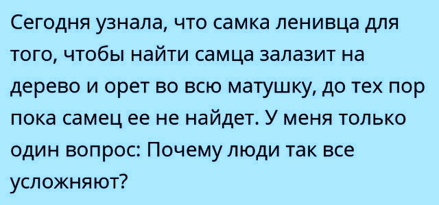 Анекдоты, соц-сети и картинки с надписями