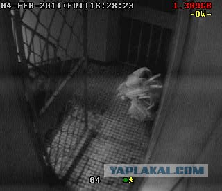 Необъяснимые явления