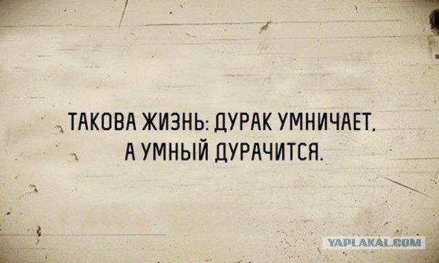 Стоит отдать государству должное