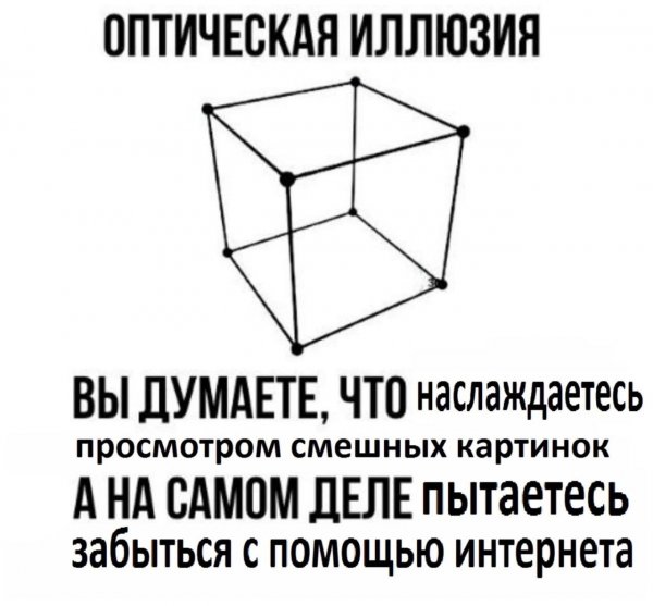 Бредзона 31.01.2020