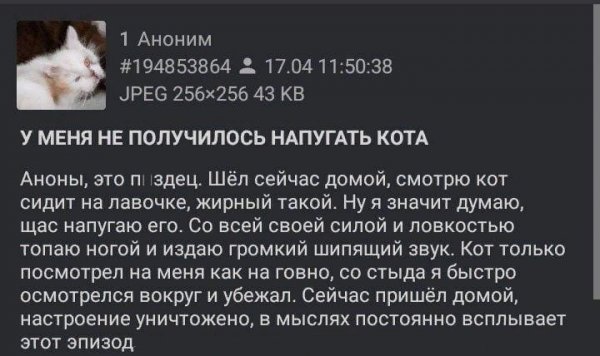 Бредзона 06.02.2020
