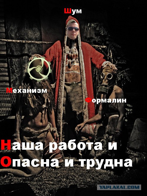 Фотожаба: Наши правила