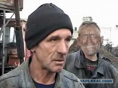 Накачанный зверь