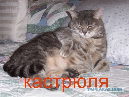 Правда - она такая!